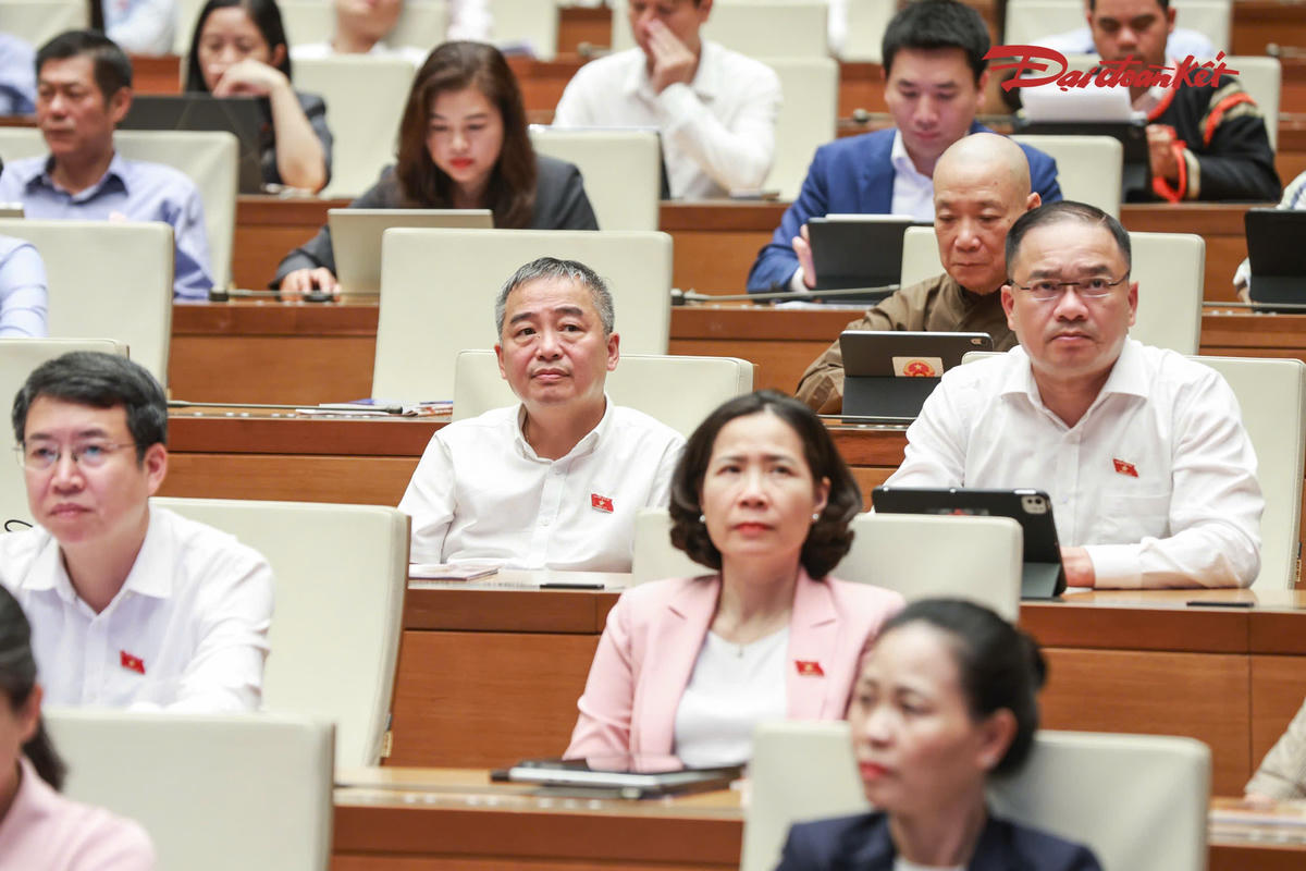 Các đại biểu tham dự phiên thảo luận. Ảnh: Quang Vinh