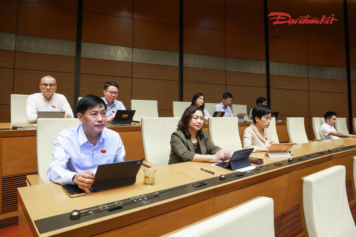 C&aacute;c đại biểu tham dự phi&ecirc;n thảo luận (Ảnh: Quang Vinh)