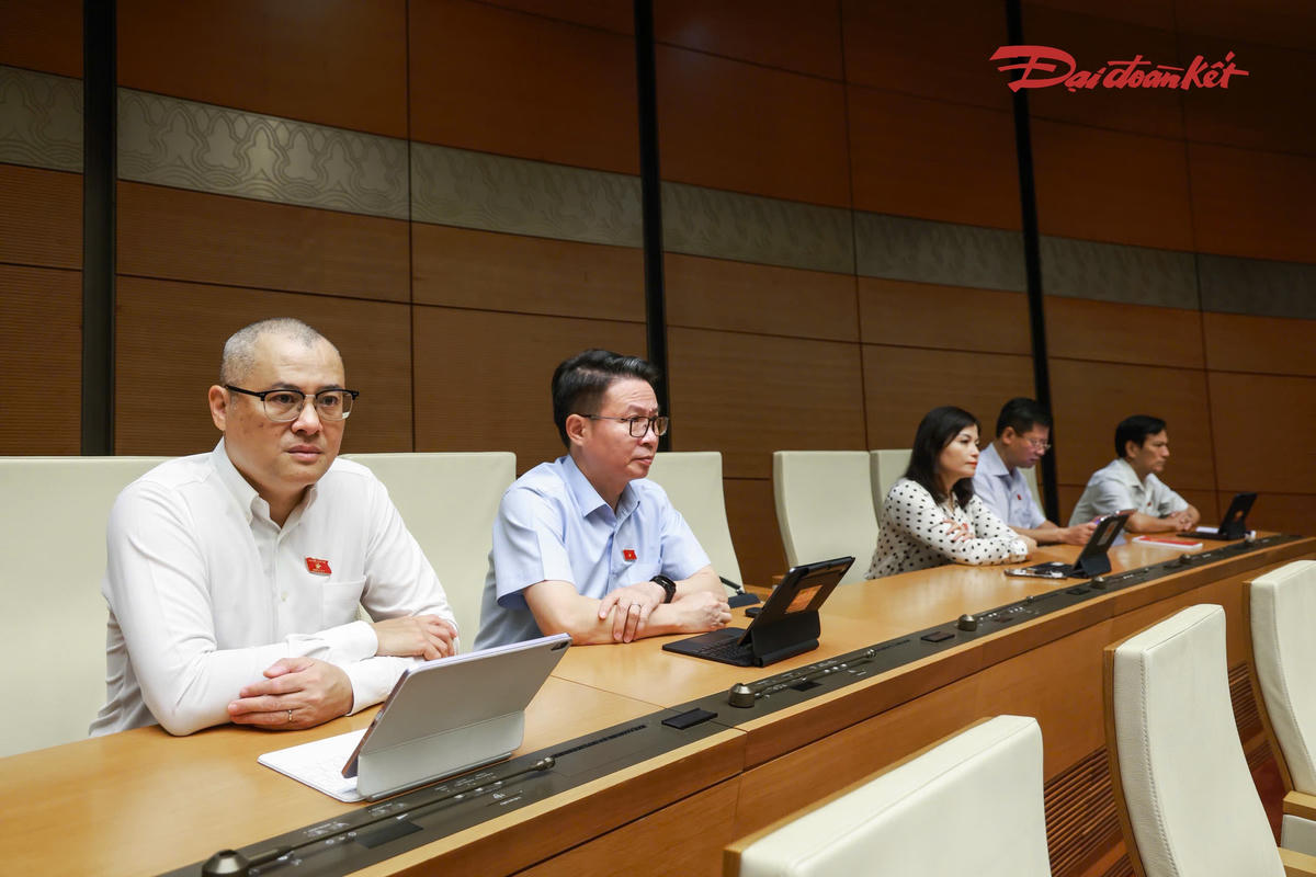 C&aacute;c đại biểu tham dự phi&ecirc;n thảo luận (Ảnh: Quang Vinh)