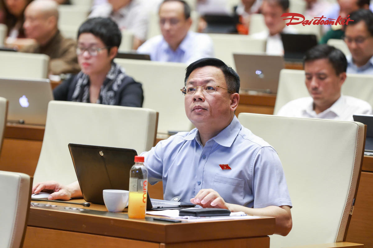 Các đại biểu tham dự phiên thảo luận (Ảnh: Quang Vnh)