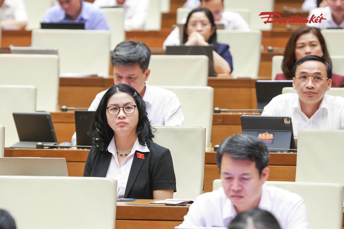 Các đại biểu tham dự phiên thảo luận (Ảnh: Quang Vinh)