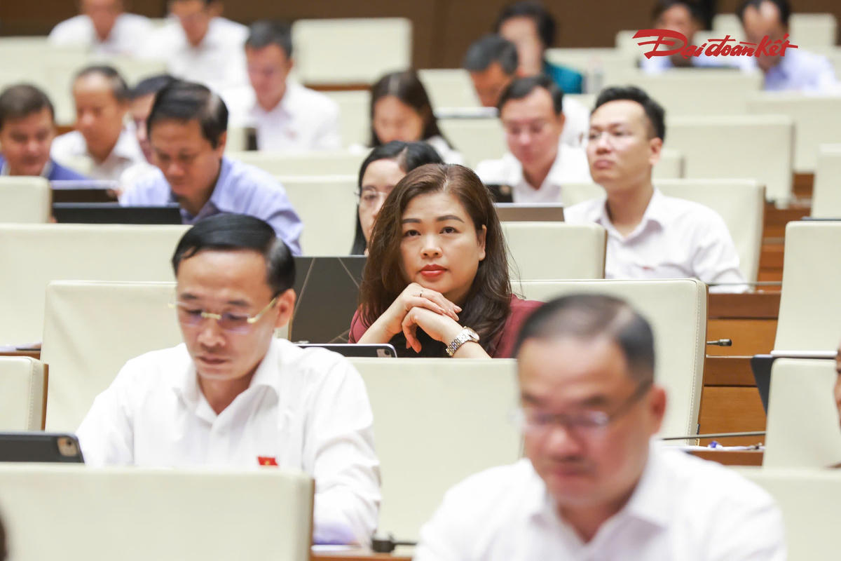 Các đại biểu tham dự phiên thảo luận (Ảnh: Quang Vinh)