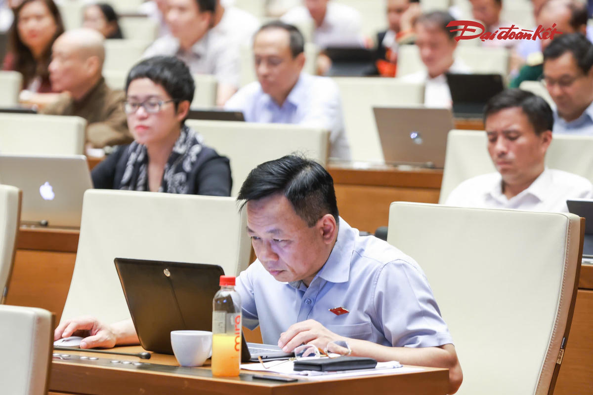 C&aacute;c đại biểu tham dự phi&ecirc;n thảo luận (Ảnh: Quang Vinh)