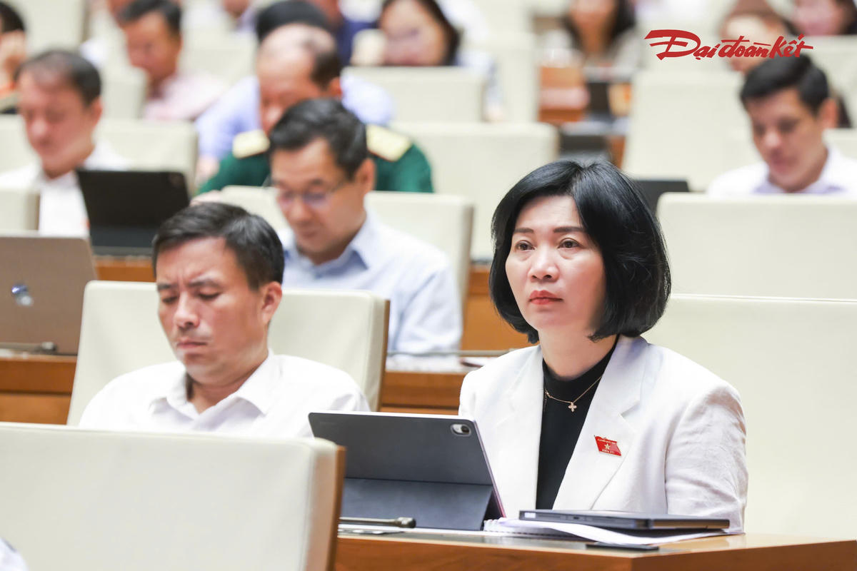 Các đại biểu tham dự phiên thảo luận (Ảnh: Quang Vinh)