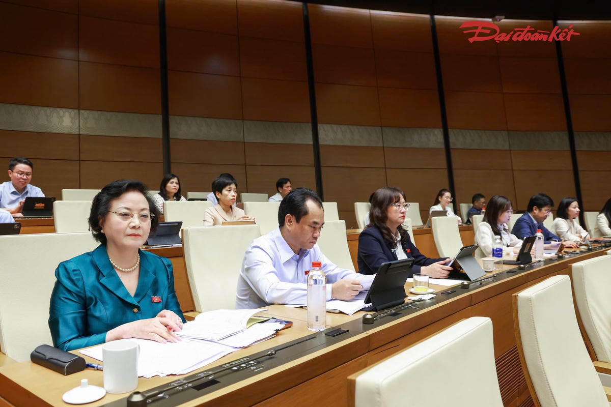 C&aacute;c đại biểu tham dự phi&ecirc;n thảo luận (Ảnh: Quang Vinh)
