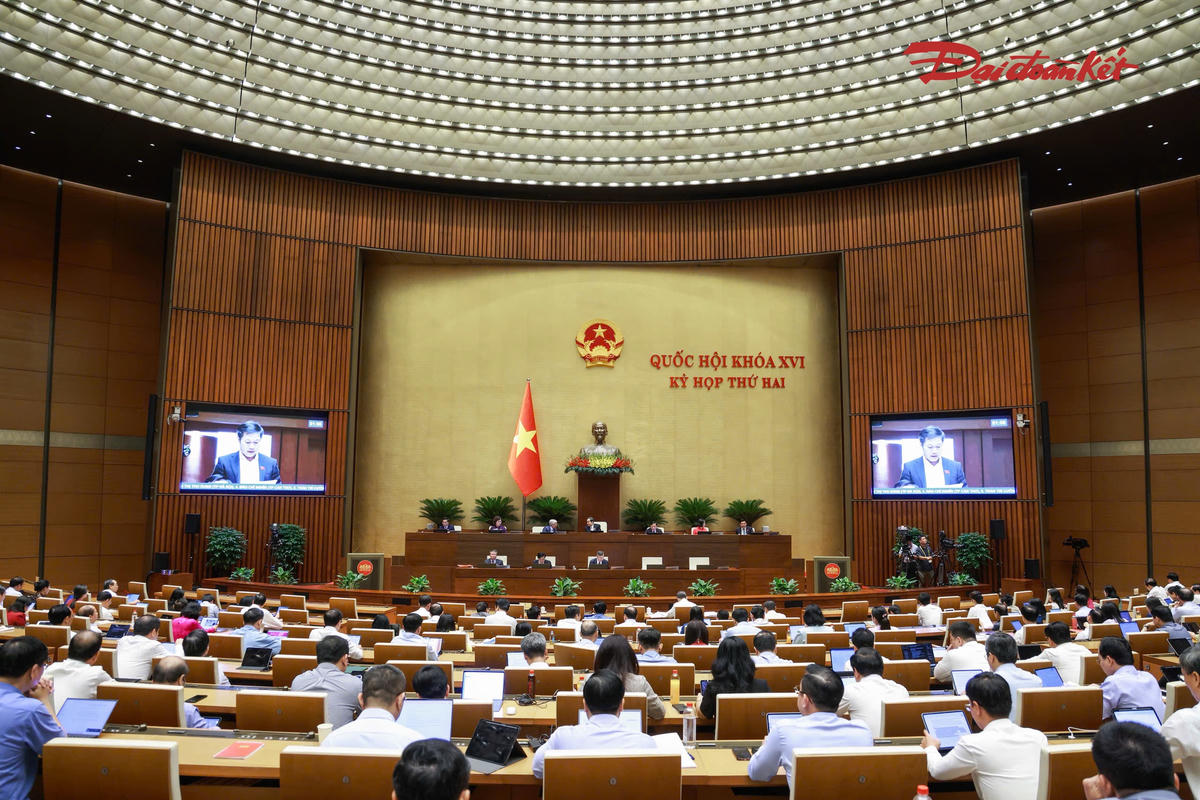 Toàn cảnh phiên thảo luận (Ảnh: Quang Vinh)