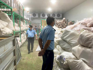 Gia Lai: Phát hiện cơ sở chứa hàng nghìn con heo đông lạnh chưa rõ nguồn gốc