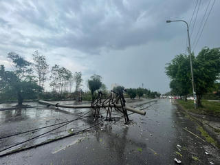 Dông lốc gây đổ cây, cột điện ở Quảng Ninh