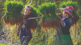 Việt Nam qua góc nhìn của các nhiếp ảnh gia