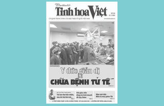 Tìm đọc Tinh hoa Việt số 238, phát hành ngày 25/2/2025