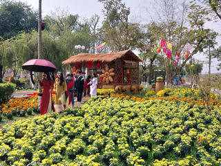 Đường phố, công viên ở Huế ngập tràn sắc xuân