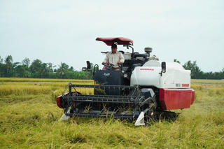 Cần tính chuyện lâu dài