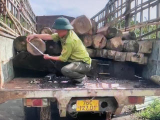 Quảng Ngãi: Lâm tặc đánh kiểm lâm và nhân viên bảo vệ rừng phải nhập viện