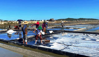 Diêm dân phấn khởi