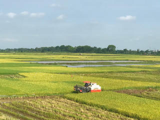 Hỗ trợ người dân sau thiên tai: Cần chiến lược dài hạn