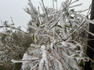 Không khí lạnh tăng cường, Bắc Bộ có nơi dưới 5 độ C