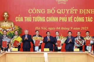 Thủ tướng trao Quyết định điều động, bổ nhiệm 8 lãnh đạo các bộ, cơ quan