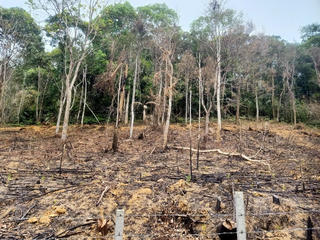 Hà Tĩnh: Phạt hai vợ chồng gây cháy hơn 7.600 m2 rừng tự nhiên