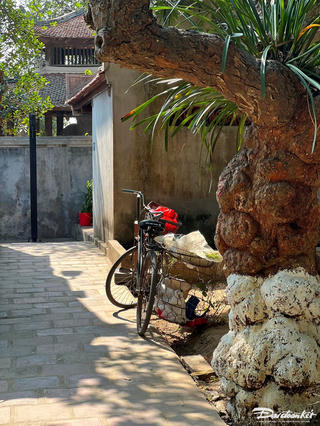 Ngoài hiên nắng về