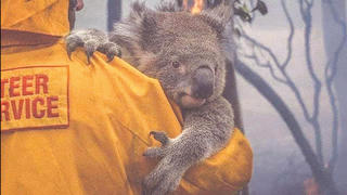 Tổng thư ký LHQ: Hãy ngừng loay hoay khi tương lai của chúng ta bùng cháy