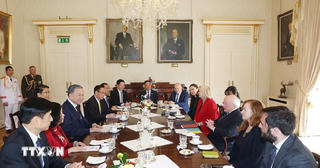 Tổng Bí thư, Chủ tịch nước Tô Lâm hội đàm với Tổng thống Ireland Michael Higgins