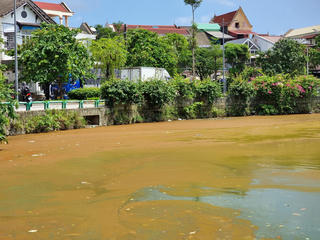 Nước hồ Trái tim ở TP Huế đổi màu bất thường