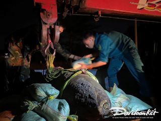 TP HCM xử lý an toàn quả bom nặng 350 kg còn sót lại sau chiến tranh