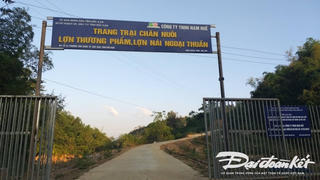 Bắc Kạn giảm triệt để dự án chăn nuôi lợn chưa đủ điều kiện