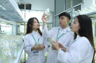 Giữ chân người tài