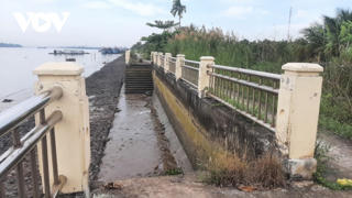 Xây kè chống sạt lở cồn Tân Long