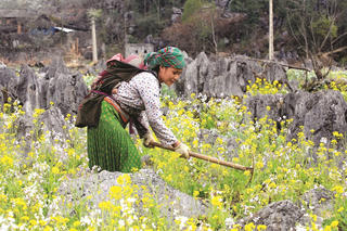 Những bức ảnh về tình mẫu tử ‘chạm đến trái tim’