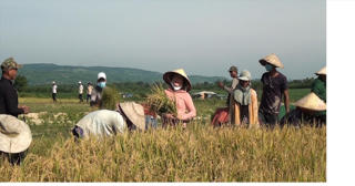 Phú Yên: Triển khai hiệu quả Chương trình Mục tiêu quốc gia