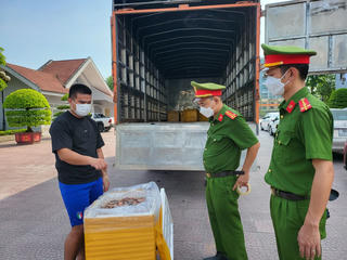 Tạm giữ xe tải chở hơn 300 kg tôm bốc mùi hôi thối