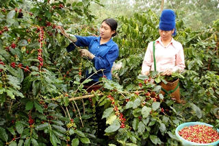 Nhiều văn bản quy phạm pháp luật phục vụ Chương trình mục tiêu quốc gia