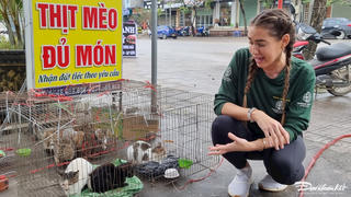 Tổ chức bảo vệ động vật hỗ trợ để một nhà hàng thịt mèo tại Thái Nguyên đóng cửa