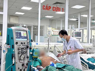 Đánh cược tính mạng vì món ăn khoái khẩu