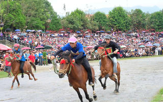 Vó ngựa xứ Tuyên “đại náo” Bắc Hà