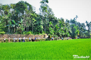 Quảng Nam: Công nhận Tiên Phước đạt chuẩn huyện nông thôn mới năm 2024