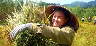 [Ảnh] Mùa gặt – Mùa đoàn kết ở thung lũng Đại Dực