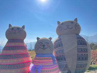 Giải mã lý do Fansipan là tọa độ du xuân được săn đón 'bậc nhất' Tết này