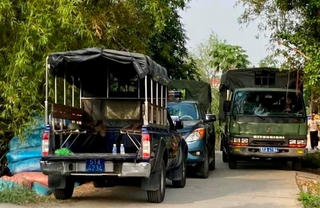 Vây bắt nghi phạm giết người ở TPHCM, lẩn trốn ở Long An