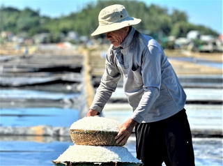 Mưu sinh trên cánh đồng muối