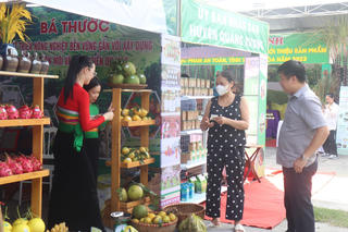 [Ảnh]: 200 gian hàng nông sản được quảng bá tại Thanh Hóa