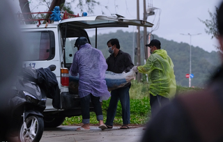 Phát hiện 7 thi thể nam nữ dạt vào bờ biển Phú Quốc