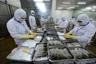 Thủy sản xuất khẩu dần hồi phục