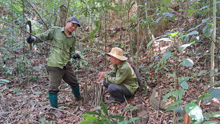 Băng rừng bảo vệ động vật hoang dã