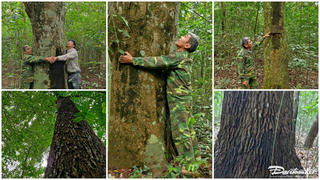 Thảm thực vật đa dạng bên trong ‘viên ngọc xanh’ Rú Lịnh