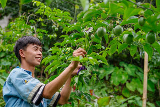 Truyền cảm hứng cho thanh niên Lai Châu thoát nghèo
