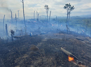Liên tiếp xảy ra nhiều vụ cháy rừng