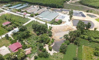 Vi phạm về môi trường một trại lợn bị xử phạt gần 300 triệu đồng